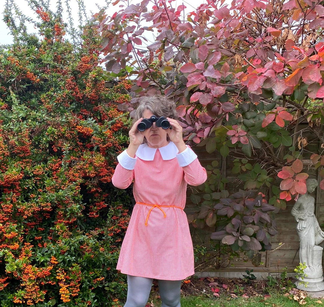 Orange Gingham Suzy Bishop 60's Style Moonrise Kingdom 