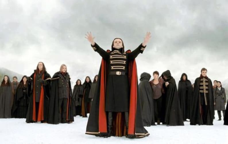 May include: A group of people wearing black and red cloaks stand in a snowy field. The person in the center is wearing a black and gold uniform with a red cape and is raising their arms in the air.