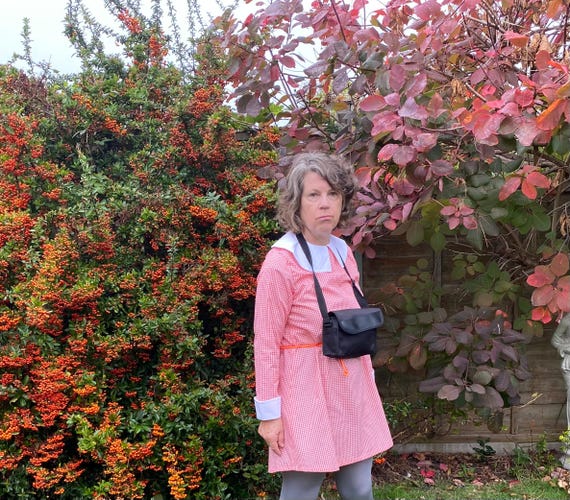 Orange Gingham Dress. Suzy Bishop Dress. 60's Style Dress
