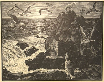 Leo J. Meissner Original Woodcut Sea Gulls Maine Coast American Artists Group Block Print 1936