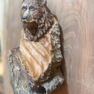 Bear in Bark