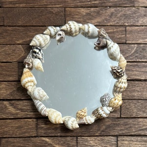 May include: A round mirror with a decorative border of seashells. The shells are various shades of brown, white, and tan.