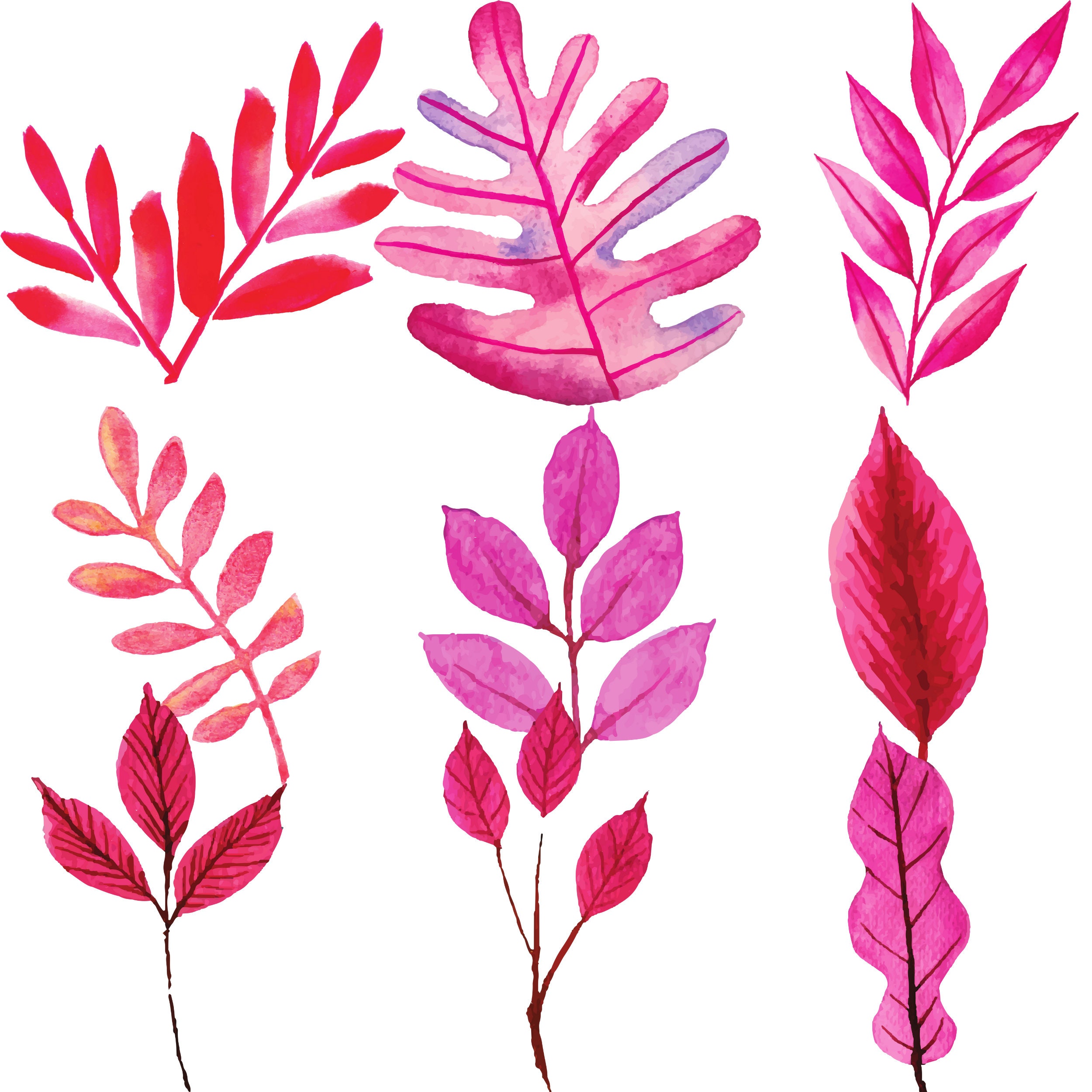 200 Watercolor Leaf Painting, PNG, Transparent, Printable, Stickers ...