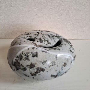 May include: A unique, handcrafted ceramic vase with a distinctive, organic shape. The vase is primarily gray with dark speckled patterns and white accent lines. It features two openings and a smooth, glossy finish, perfect for home decor.