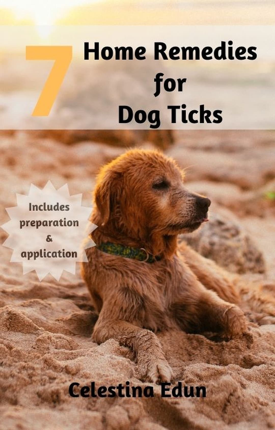 7 Home Remedies for Dog Ticks Removal & Treatment Etsy