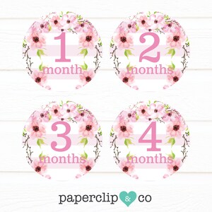 Pink Stripes & Flowers Monthly Milestone Stickers, Monthly Milestone Stickers, First Year Stickers, Baby Girl, Gift for New Mom, Baby Shower