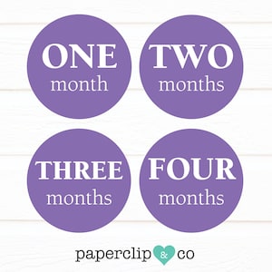 Purple Monthly Milestone Stickers, Monthly Milestone Stickers, First Year Sticker, Baby Stickers, New Baby Gift, Gift for New Mom
