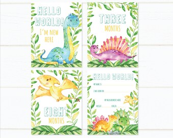 Baby Milestone Cards, Dinosaur Baby Milestone Cards, Baby Shower Gift, New Baby Milestones Gift, Milestone Card Set, Newborn Photo Props