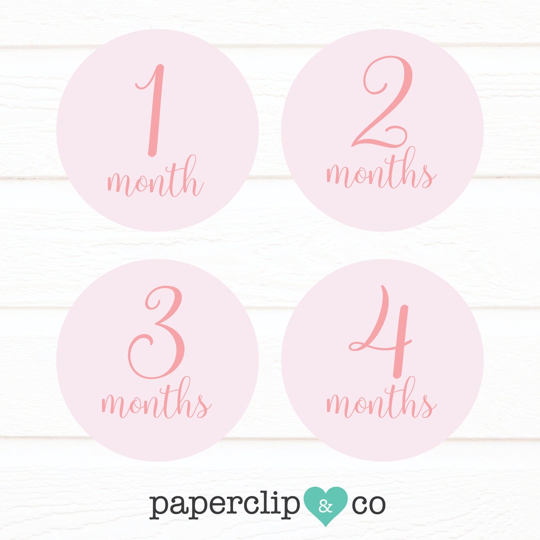 Pink Monthly Milestone Stickers, Monthly Milestone Sticker, First Year ...