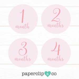 Pink Monthly Milestone Stickers, Monthly Milestone Sticker, First Year Sticker, Gift for New Mom, Baby Shower Gift, Baby Girl, New Baby Gift