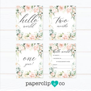 Tarjetas De Hitos Del Bebé, Tarjetas Florales De Hitos Del Bebé, Regalo Baby Shower, Regalo Nuevos Hitos Del Bebé, Conjunto De Tarjetas Milestone, Accesorio Fotográfico Mensual