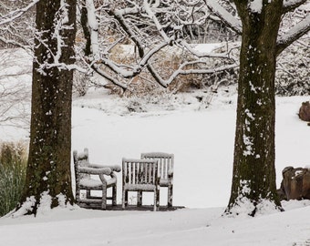 Winter Photograph, Snow Scene, Snow Storm, Wall Art, Home Decor, Fine Art Photography, Photo, Snow Covered Trees