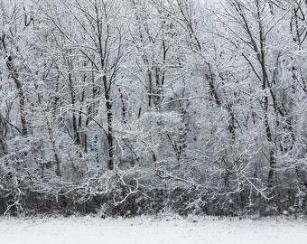 Winter Photograph, Snow scene, Wall Art, Home Decor, Fine Art Photography, Forrest Photo, Snow Covered Trees, Winter Landscape