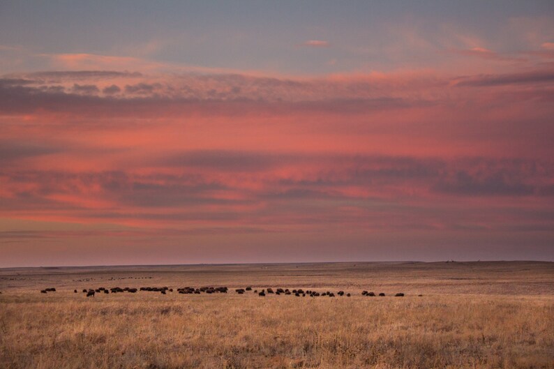 Tallgrass Prairie Sunset image 1