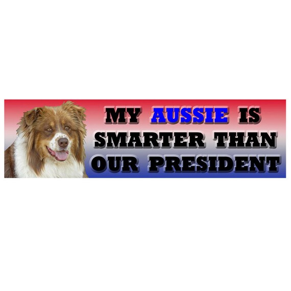 Beagle smarter than president bumper sticker