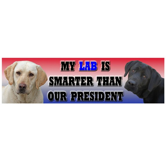 Beagle smarter than president bumper sticker