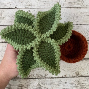 crochet house plant with multi colored leaves