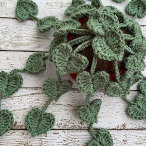 crochet string of hearts plant, personalizable small trailing heart plant gift