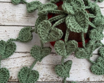 crochet string of hearts plant, personalizable small trailing heart plant gift