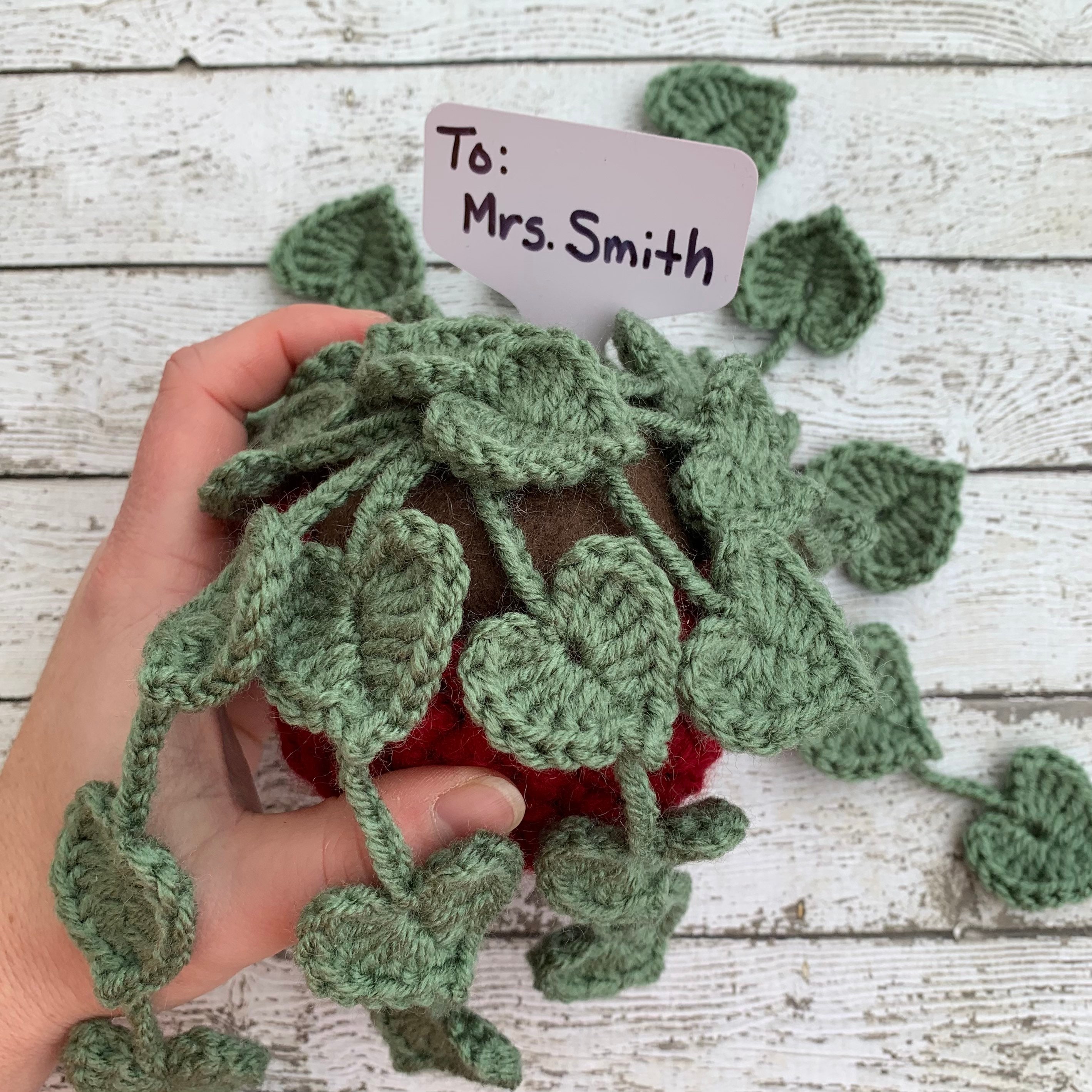 Crochet String of Hearts Plant Personalizable Small Trailing Etsy