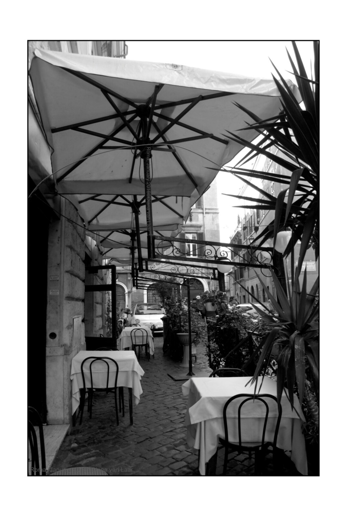 Rome Terrace January 2016©diana Van Laar Etsy 