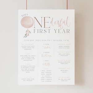 1st Birthday Milestone Sign, Miss Onederful Milestone Board, 1st Birthday Girl, Baby First Birthday Milestone Sign, Little Miss Onederful