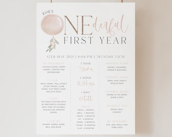 Signo de hito del 1er cumpleaños, tablero de hitos de Miss Onederful, niña de 1er cumpleaños, signo de hito del primer cumpleaños del bebé, pequeña señorita Onederful