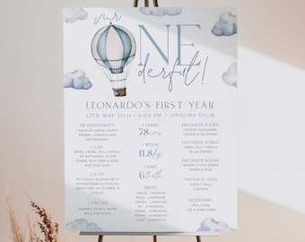 First Birthday Milestone Sign, Mr ONEderful 1st Birthday Milestone Board, Baby First Birthday, Milestone Sign 1st Birthday Hot Air Balloon