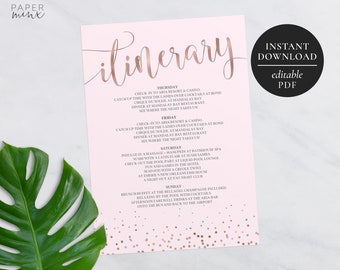 birthday itinerary etsy