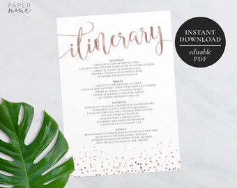 birthday itinerary etsy