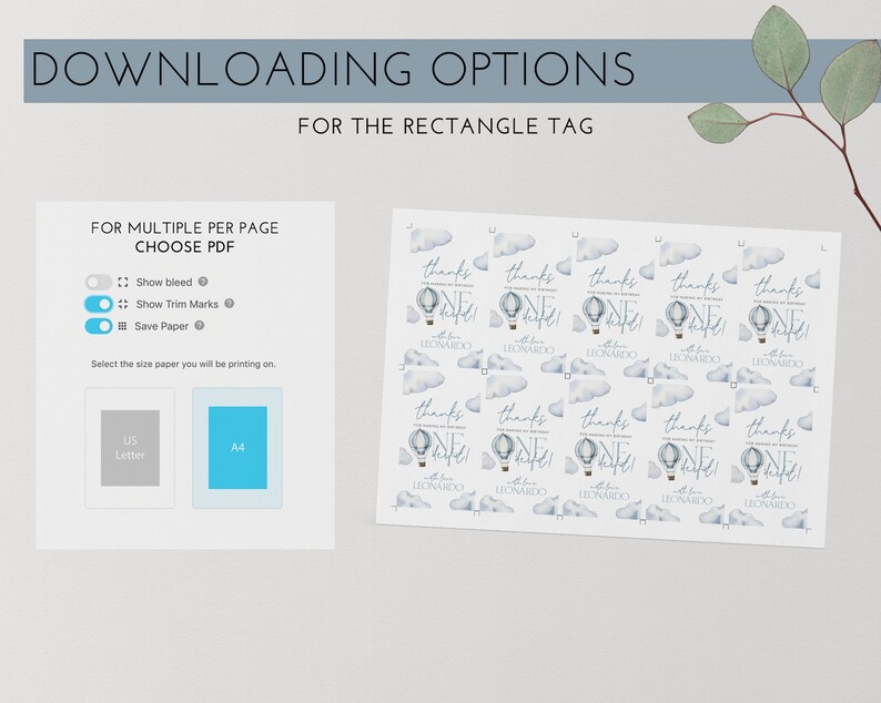 May include: A printable PDF sheet with 10 blue and white thank you cards featuring a hot air balloon with the text "Thanks for celebrating my 1st birthday!" and "One & Done!" with the name "Leonardo" underneath. The cards are designed for multiple per page printing and have options for bleed, trim marks, and saving paper.