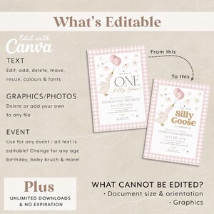 One Silly Goose 1st Birthday Bundle, Daisy Goose Invite First Birthday Bundle, 1st Birthday Girl, Pink Gingham Silly Goose Birthday Vintage image 6