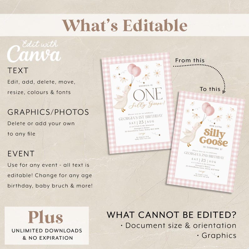 One Silly Goose 1st Birthday Bundle, Daisy Goose Invite First Birthday Bundle, 1st Birthday Girl, Pink Gingham Silly Goose Birthday Vintage image 6