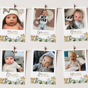 Wild One First Year Photos, Birthday Milestone Photos, Baby&#39;s First Year Month Photos, Monthly Photo Banner, Photo Banner Safari Animals