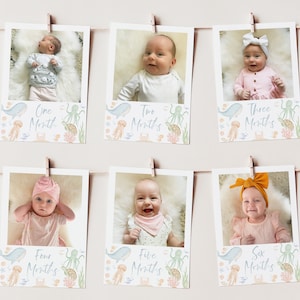 Under the Sea First Year Photo Banner, 1st Birthday Milestone Photos, Baby's First Year Monthly Photo Banner, 1st Birthday Oneder the Sea