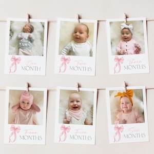 Pink Bow First Year Photos, Bow Birthday Milestone Photos, Baby's First Year Month Photos, Monthly Photo Banner, Pink Bow Photo Banner