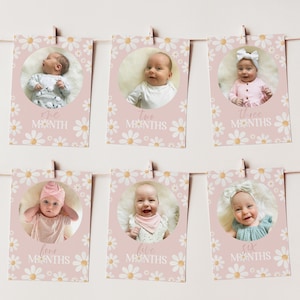Daisy First Year Photos, Daisy Flower Birthday Milestone Photos, Baby's First Year Month Photos, Monthly Photo Banner, Flower Photo Banner