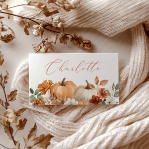 Op de afbeelding: Een rechthoekige naamkaart met de naam "Charlotte" in sierlijk schrift. De kaart heeft een aquarelontwerp van pompoenen, herfstbloemen en bladeren in tinten oranje, wit en groen. De kaart is geplaatst tegen een neutrale, getextureerde achtergrond.