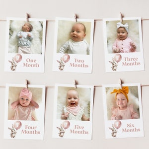 Some Bunny 12 Month Photo Banner, 1st Birthday Milestone Photos, Baby&#39;s First Year Monthly Photo Banner, 1st Birthday Decor, One Year Banner
