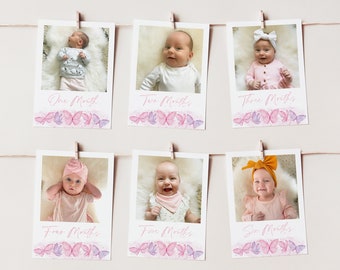 Butterfly 1st Year Photo Banner, Butterfly Birthday Milestone Photos, Baby's First Year Month Photos, Monthly Photo Banner Pink Butterflies