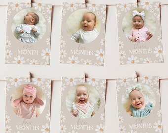 Puede incluir: Seis tarjetas de hitos mensuales con un patrón de margarita y un bebé en cada foto. Las tarjetas son beige con margaritas blancas y el texto "un mes", "dos meses", "tres meses", "cuatro meses", "cinco meses" y "seis meses".