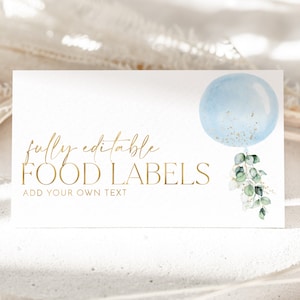 Baby Shower Food Labels, Boy Food Label Card, Food Tent Card, Boy Baby Shower Food Tags, Folded Food Cards, Tented Labels, Blue Balloon Boy