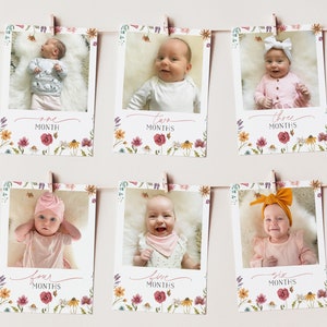 Wildflower First Year Photos, Wildflower Birthday Milestone Photos, Baby's First Year Month Photos, Monthly Photo Banner, Pink Flower Photo