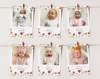 Wildflower First Year Photos, Wildflower Birthday Milestone Photos, Baby's First Year Month Photos, Monthly Photo Banner, Pink Flower Photo