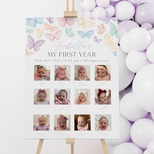 First Birthday Photo Board Printable, 1st Birthday Monthly Photo Sign, Girls First Year, 1st Birthday Decor, Pastel Rainbow Butterfly