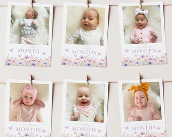 May include: Six white photo cards with a floral border and butterflies. Each card has a baby photo and the text "one month", "two months", "three months", "four months", "five months", and "six months".