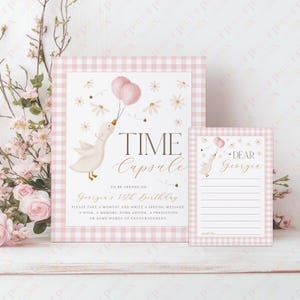One Silly Goose Time Capsule, 1st Birthday Time Capsule Sign, Time Capsule Template, One Silly Goose 1st Birthday Decorations Girl Birthday