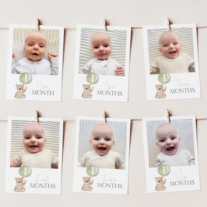 First Year Photo Banner Printable, Beary First Birthday Milestone Photos Sage Green, Baby&#39;s First Year Month Photos, Monthly Photo Banner