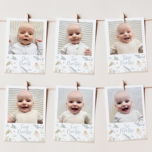 Under the Sea First Year Photo Banner, 1st Birthday Milestone Photos, Baby's First Year Monthly Photo Banner, 1st Birthday Oneder the Sea