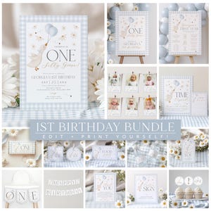 One Silly Goose 1st Birthday Bundle, Daisy Goose Invite First Birthday Bundle, 1st Birthday Girl, Blue Gingham Silly Goose Birthday Vintage